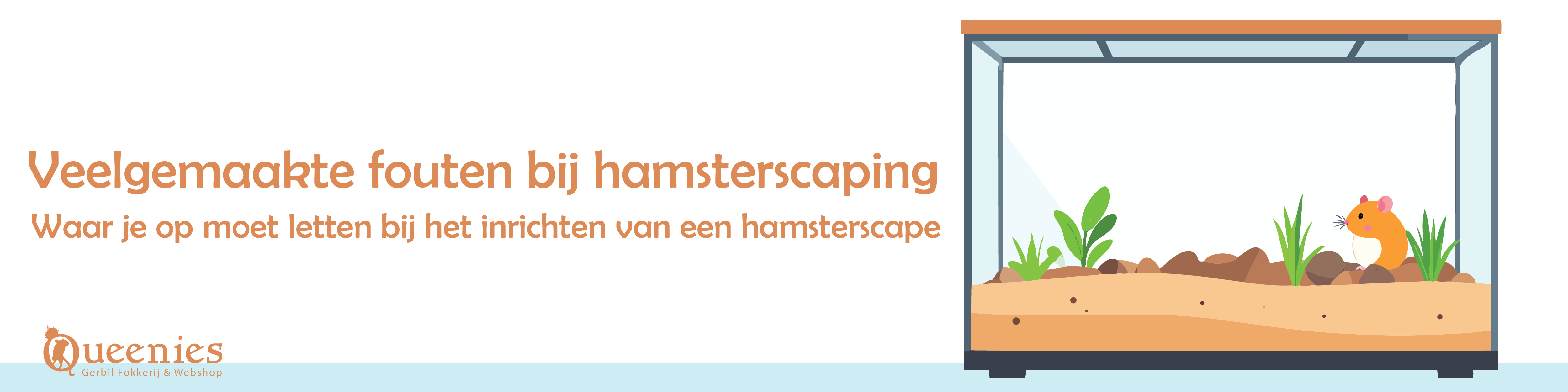 Lees hier alles over veelgemaakte fouten bij Hamsterscaping